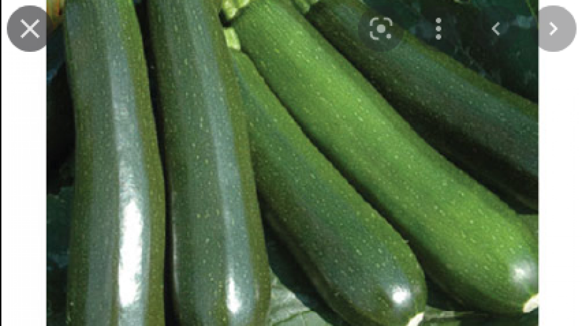 zucchini from Kenya